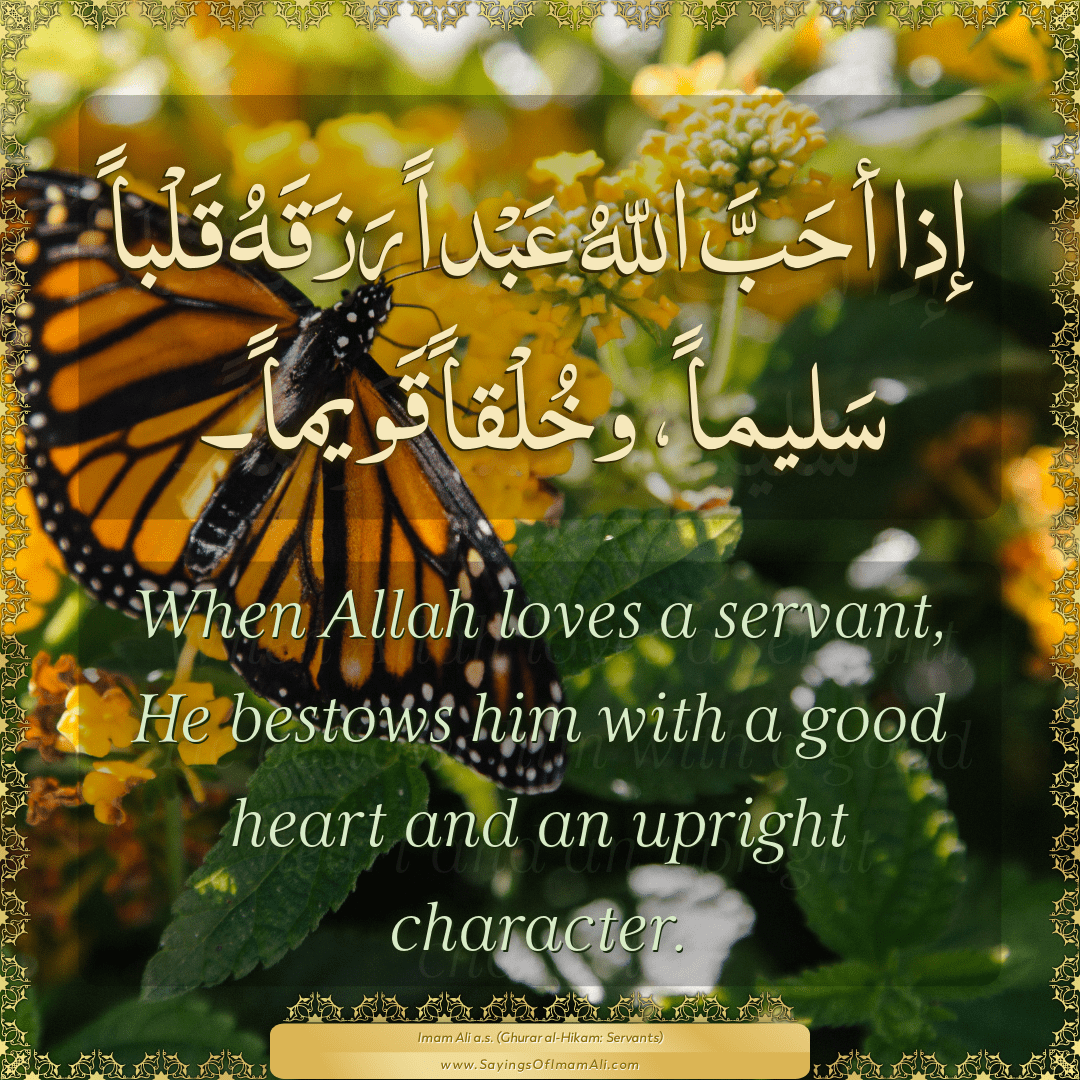 When Allah loves a servant, He bestows him with a good heart and an...